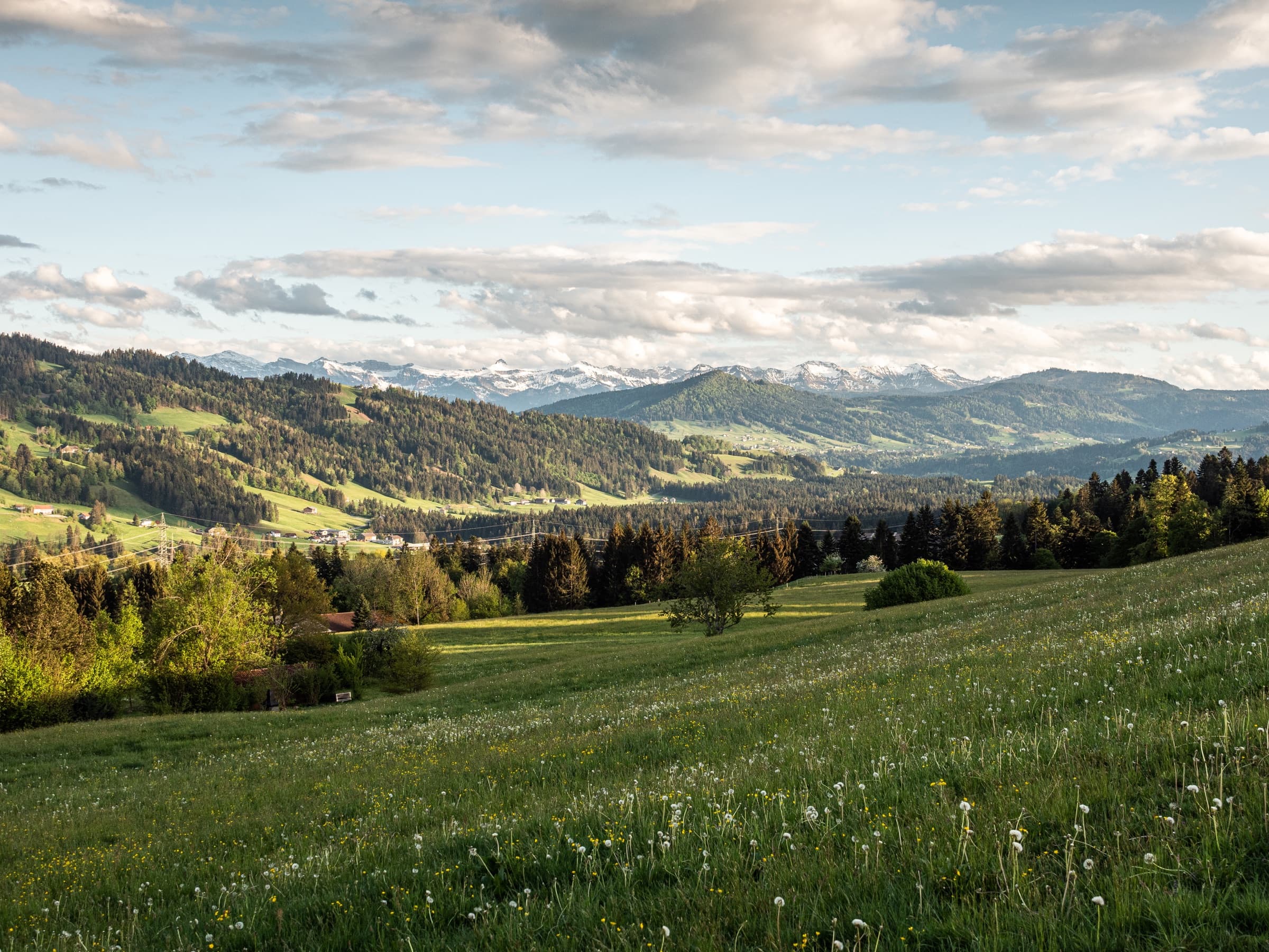 Blick über die Hügel des Westallgäus zu den Alpen